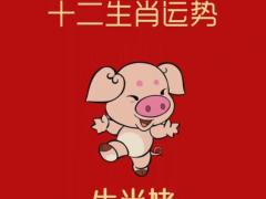 属猪的几点出生更好,属猪的几点出生更好命