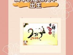 属羊31年出生多少岁,属羊的31年多大