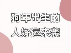 2023属狗人的爱情运势,2023属狗人的爱情运势怎么样