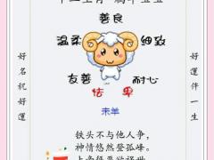 属羊农历12月运势的简单介绍,属羊农历十二月运势