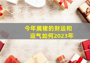 今年属猪的财运和运气如何2023年,1983年属猪男2023年运势及运程每月运程吉运凶运如何