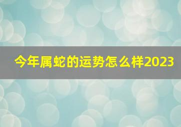 今年属蛇的运势怎么样2023,属蛇的今年运势怎么样2023