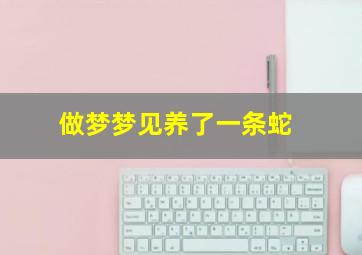 做梦梦见养了一条蛇