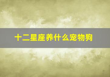 十二星座养什么宠物狗,十二星座都适合养什么宠物啊