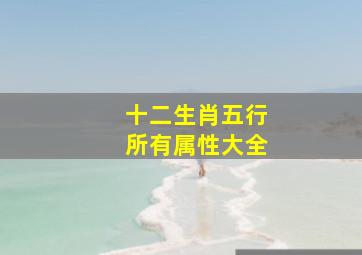 十二生肖五行所有属性大全,