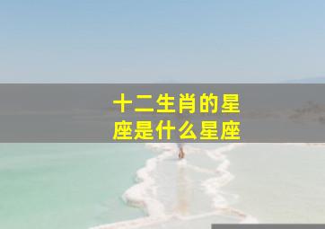十二生肖的星座是什么星座,12生肖各属什么星座
