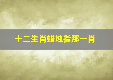 十二生肖蜡烛指那一肖,<body>