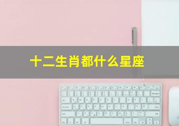十二生肖都什么星座,十二生肖的星座