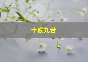 十猴九苦,十猴九苦是啥意思