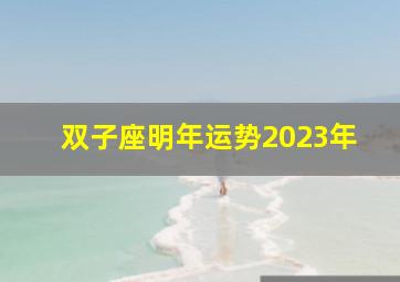 双子座明年运势2023年,双子座2023年事业运夏季情况运气爆棚