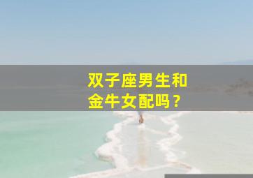 双子座男生和金牛女配吗？