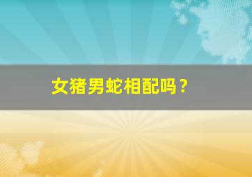 女猪男蛇相配吗？