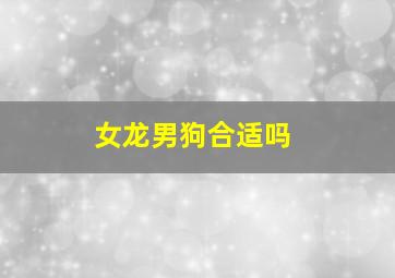 女龙男狗合适吗,
