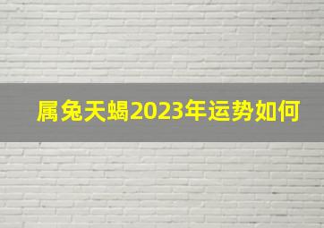 属兔天蝎2023年运势如何,2023天蝎座女全年运势详解
