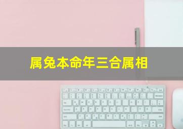 属兔本命年三合属相,2023本命年兔年戴什么