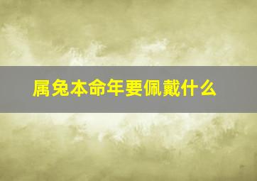 属兔本命年要佩戴什么,本命年兔佩戴什么本命年兔年要戴什么好