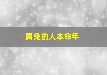 属兔的人本命年,属兔的本命年运势怎么样