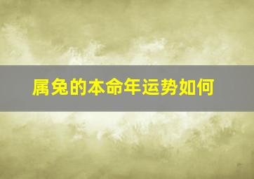 属兔的本命年运势如何,2023年87年属兔的本命年命运怎样样犯太岁流年运势