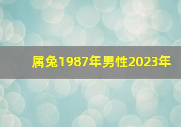 属兔1987年男性2023年,1987年农历八月十六日属兔男今年运势