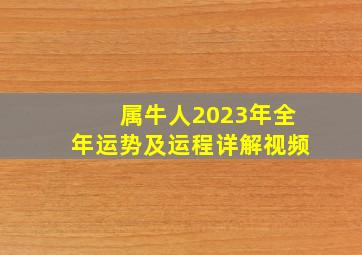 属牛人2023年全年运势及运程详解视频,<body>