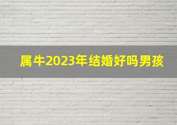 属牛2023年结婚好吗男孩,属牛的和属虎2023年结婚吉利吗大桃花年结婚喜庆