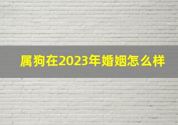 属狗在2023年婚姻怎么样,1982年属狗女2023年的运势和婚姻状况