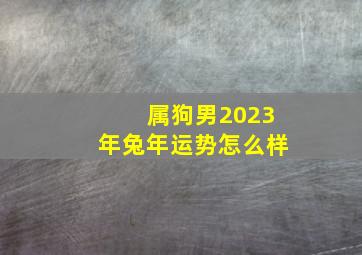 属狗男2023年兔年运势怎么样,2023兔年12生肖福运男命运程详解