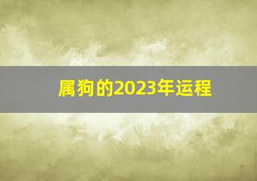 属狗的2023年运程,<body>