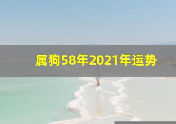 属狗58年2021年运势,1958年属狗2021年运势每月运程解析
