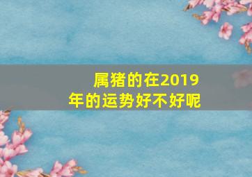 属猪的在2019年的运势好不好呢,2019年属猪的财运和运气如何属猪的本命年财运运程解析