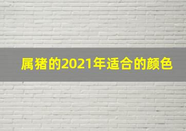 属猪的2021年适合的颜色,属猪人2021年幸运色