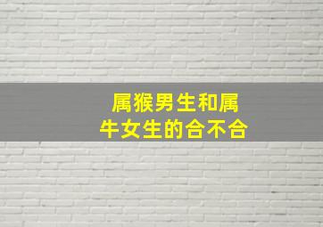 属猴男生和属牛女生的合不合,