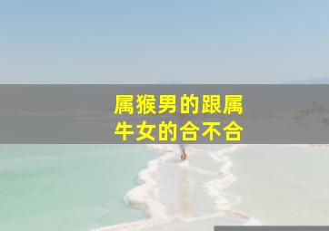 属猴男的跟属牛女的合不合,