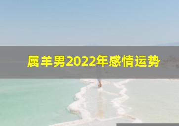 属羊男2022年感情运势,2003年属羊人2022年运势运程男性