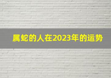 属蛇的人在2023年的运势,2023年属蛇的运势和财运怎么样
