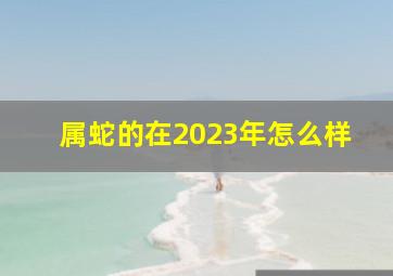 属蛇的在2023年怎么样,属蛇在2023年的运势怎么样
