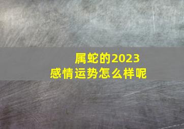 属蛇的2023感情运势怎么样呢,<body>