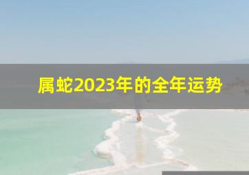 属蛇2023年的全年运势,2023年属蛇人怎么样会有好运气吗