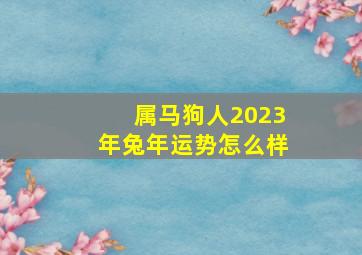 属马狗人2023年兔年运势怎么样,2023年属马人犯太岁吗兔年运势运程