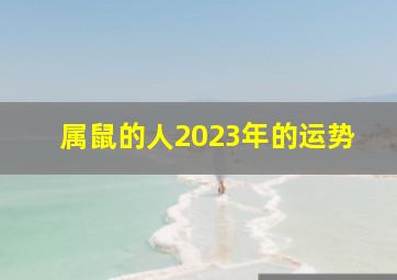 属鼠的人2023年的运势,2023年属鼠的全年运势