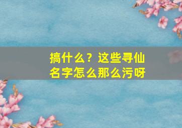 搞什么？这些寻仙名字怎么那么污呀,寻仙名字漂亮带符号