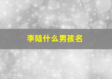 李陆什么男孩名,李姓男孩起名