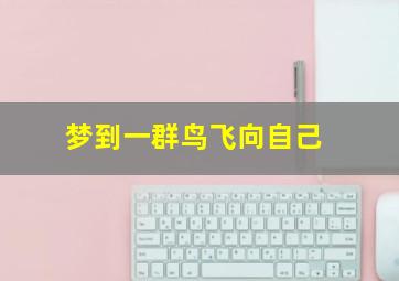梦到一群鸟飞向自己,梦见一群鸟飞向自己