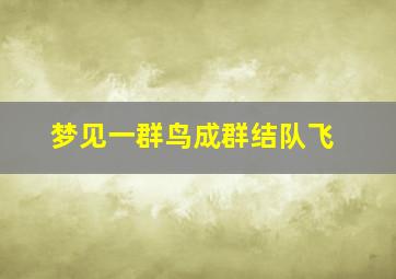 梦见一群鸟成群结队飞,梦到一群鸟飞向自己