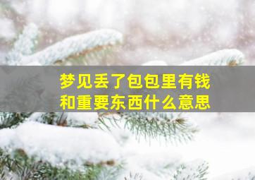 梦见丢了包包里有钱和重要东西什么意思