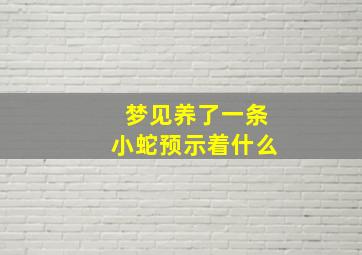 梦见养了一条小蛇预示着什么
