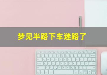 梦见半路下车迷路了