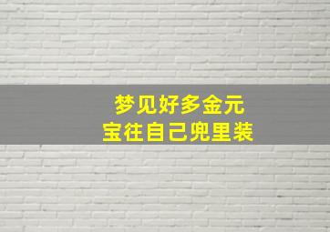 梦见好多金元宝往自己兜里装