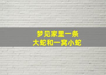 梦见家里一条大蛇和一窝小蛇