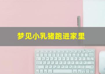 梦见小乳猪跑进家里